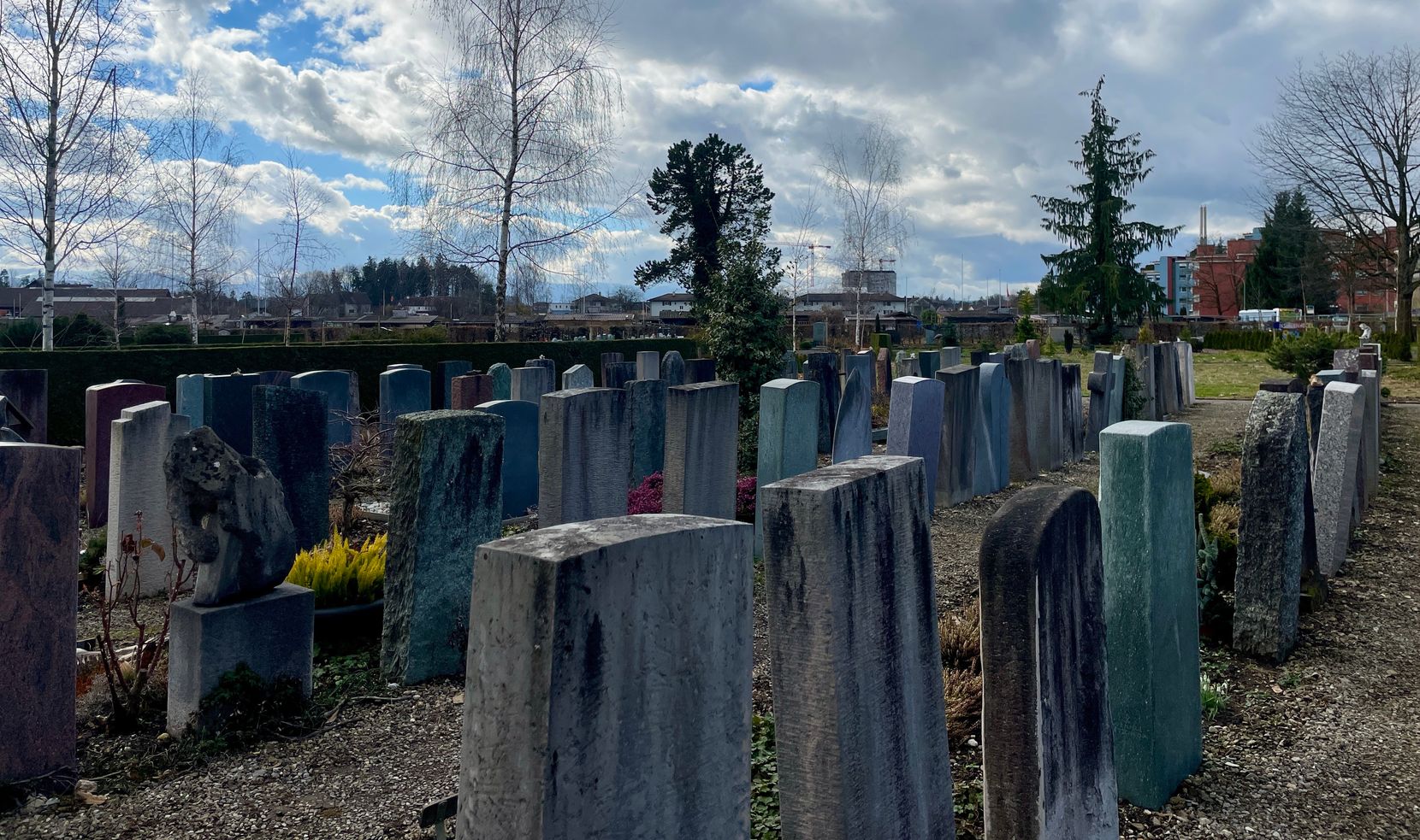 Man sieht Gräber auf dem Friedhof in Wetzikon.