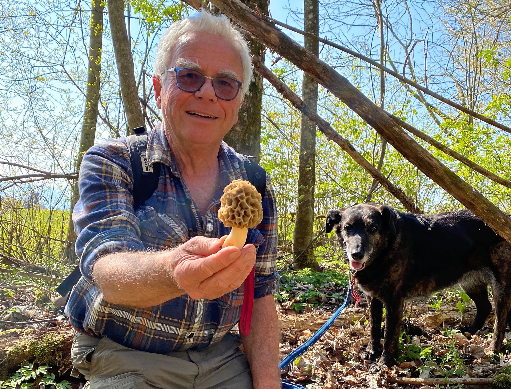 Mann kniet auf Waldboden und hält Pilz in die Kamera, im Hintergrund hat es einen Hund.