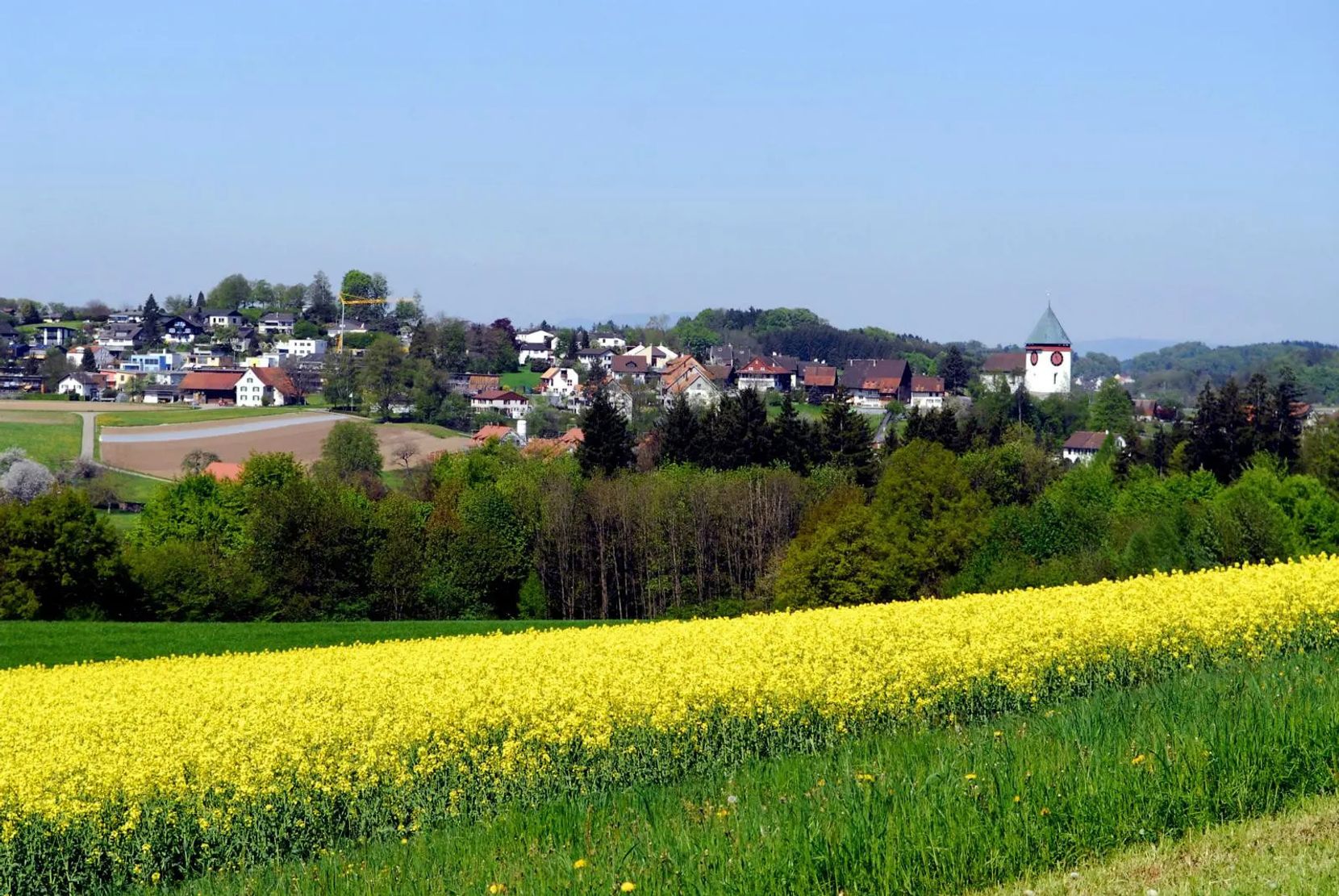 Auf dem Bild ist ein Rapsfeld und dahinter ein Dorf zu sehen.