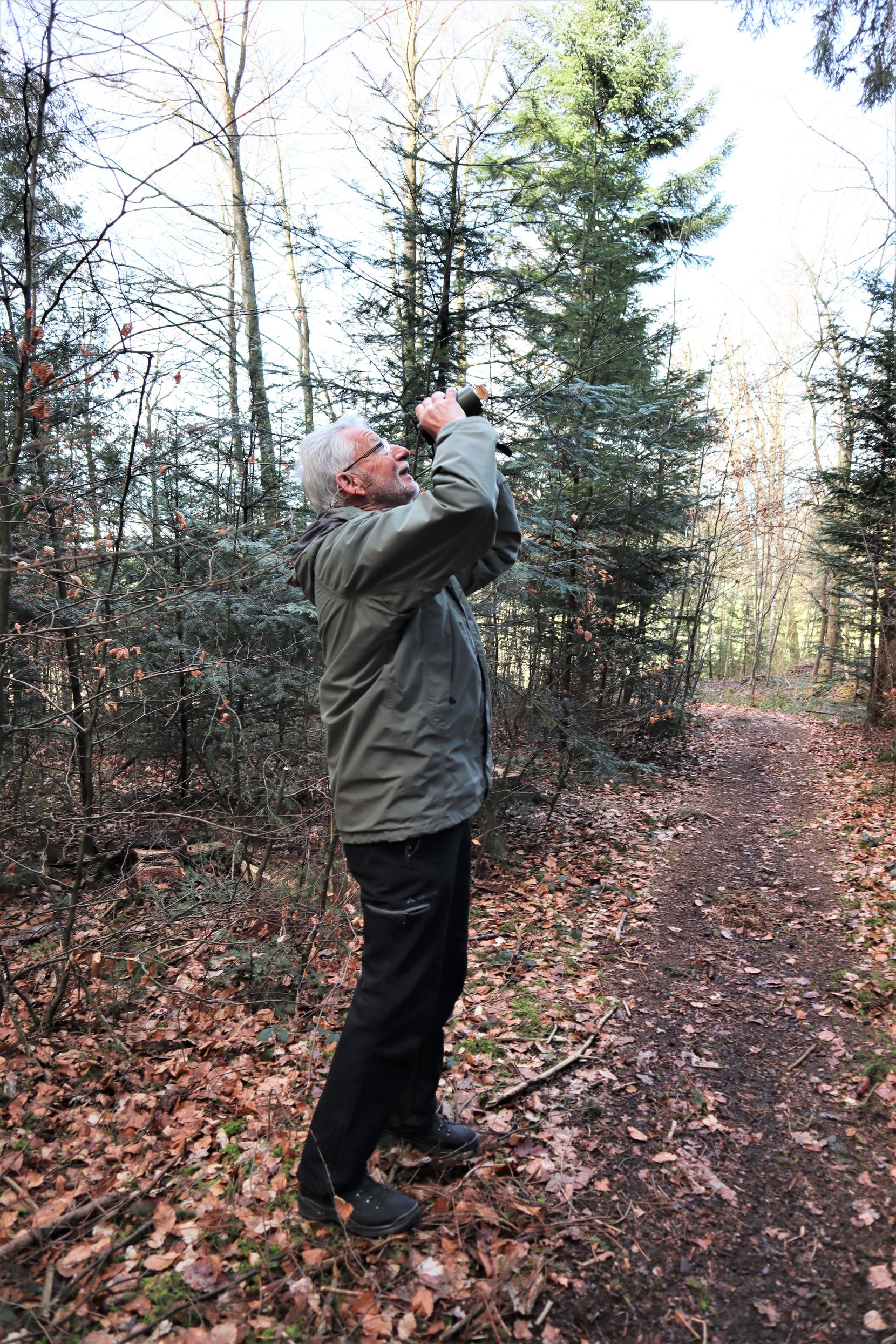 Willy Neukom steht im Unterwetziker Wald und blickt mit dem Feldstecher in die Baumkronen.