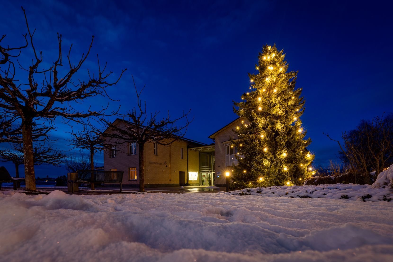 Weihnachtsbaum in Bubikon