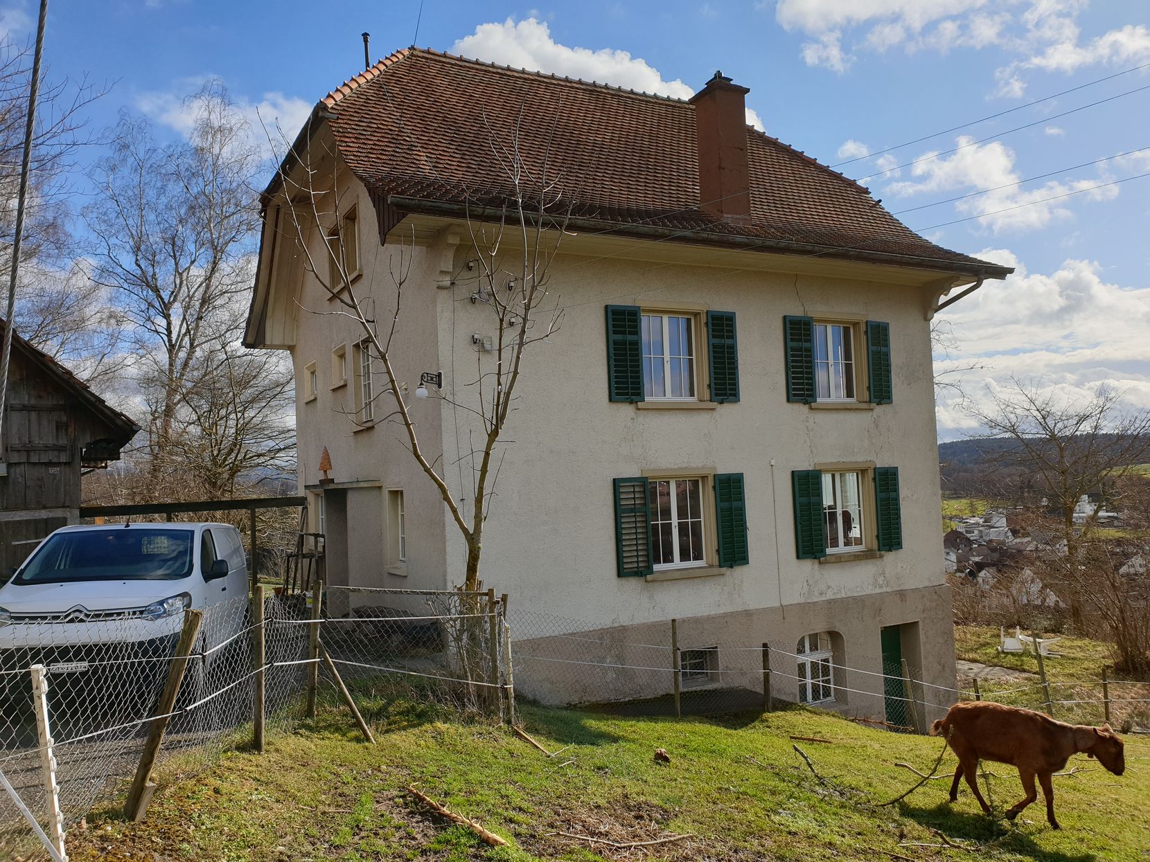 Blick auf das Haus Horn in Illnau Effretikon, vor dem eine Ziege weidet.
