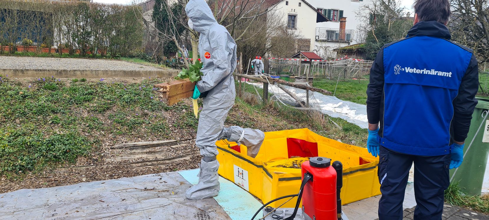 Ein Mensch in einem Schutzanzug trägt kontaminiertes Material von einem Hof – daneben steht ein Mann vom Veterinäramt.
