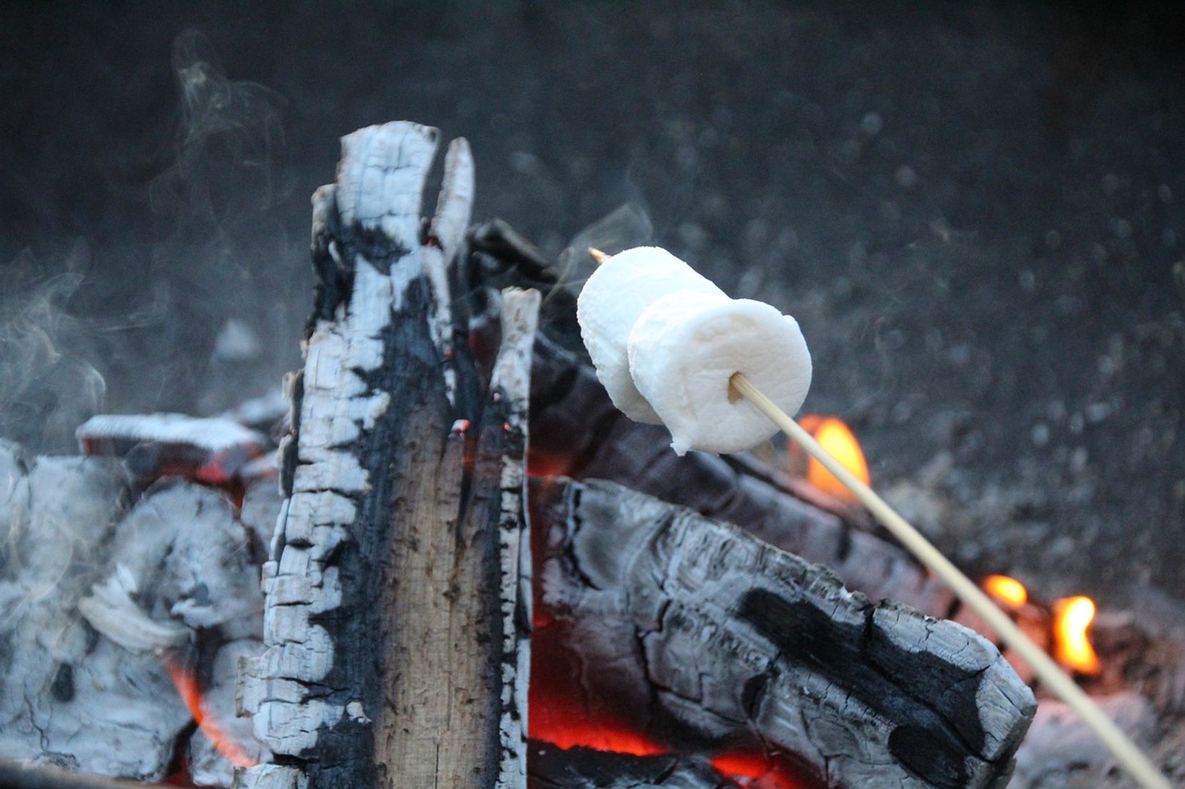 Man sieht ein Marshmallow, das über dem Feuer geröstet wird.
