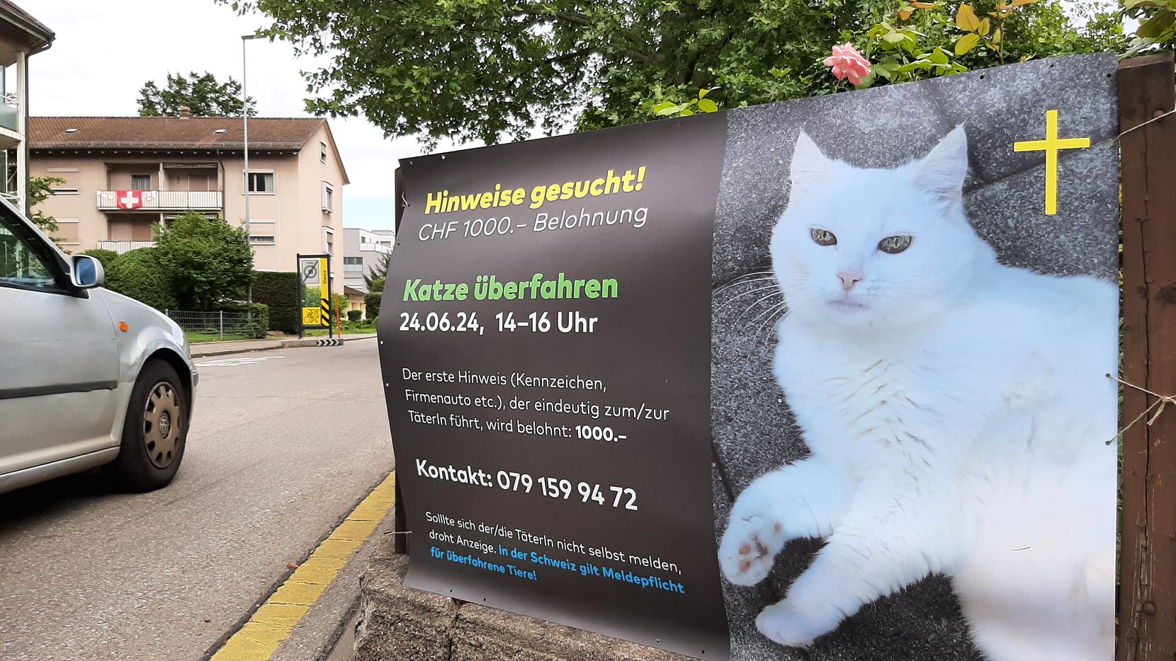 Ein Plakat mit einer Katze drauf.
