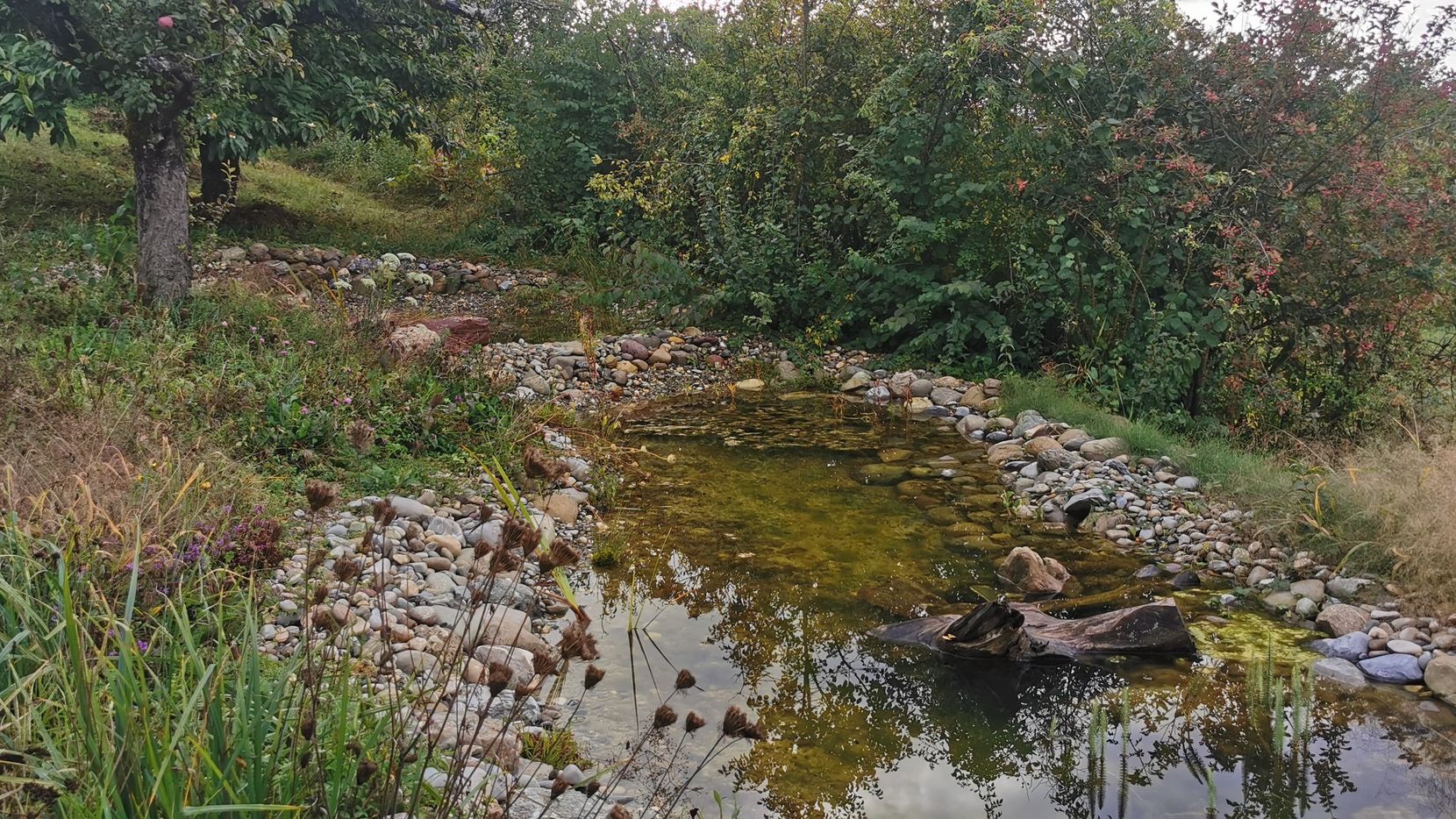 Ein Teich, eingerahmt mit Steinen, dahinter hat es Gebüsch und Bäume.