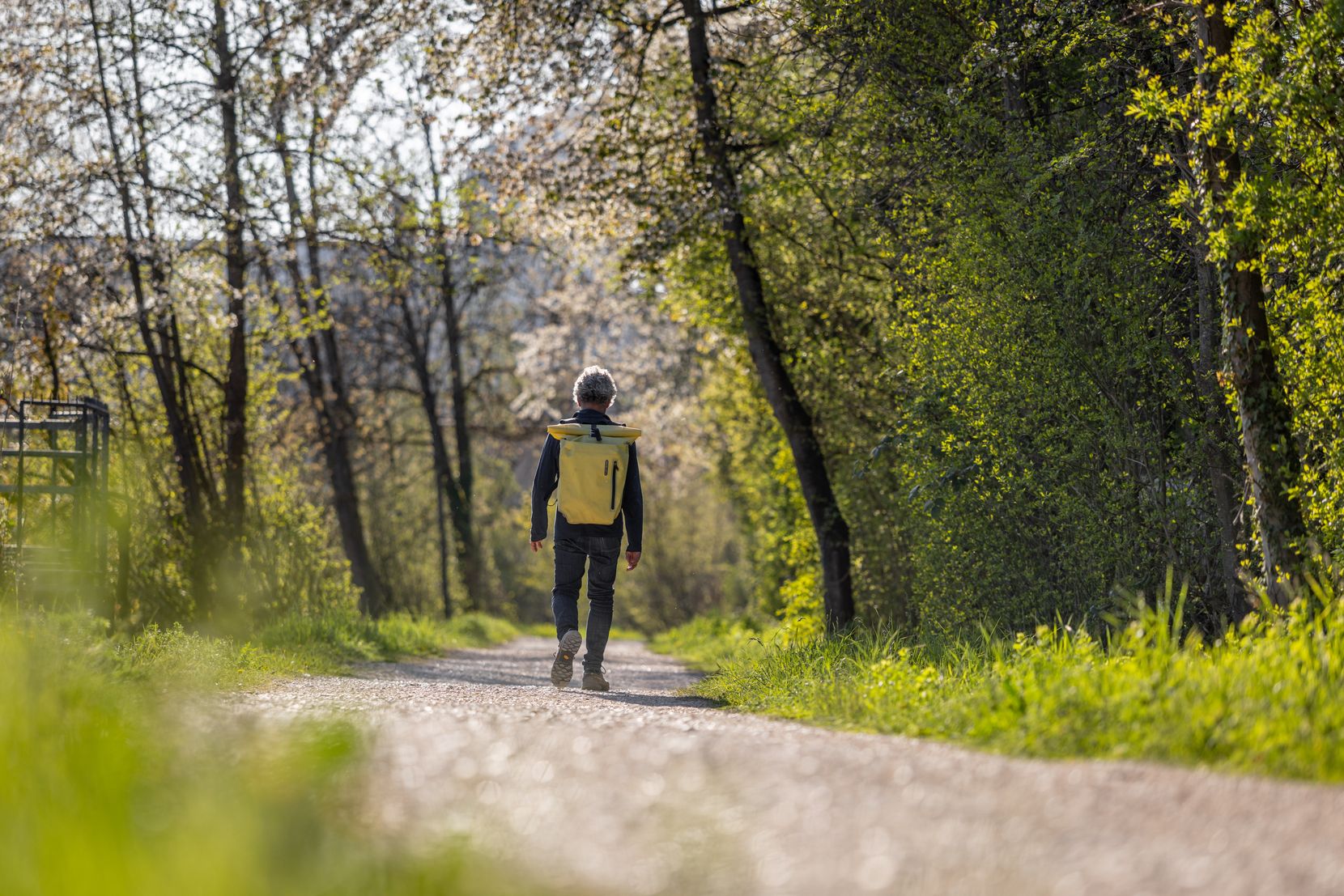 Frühlingsbilder aus dem Glattal