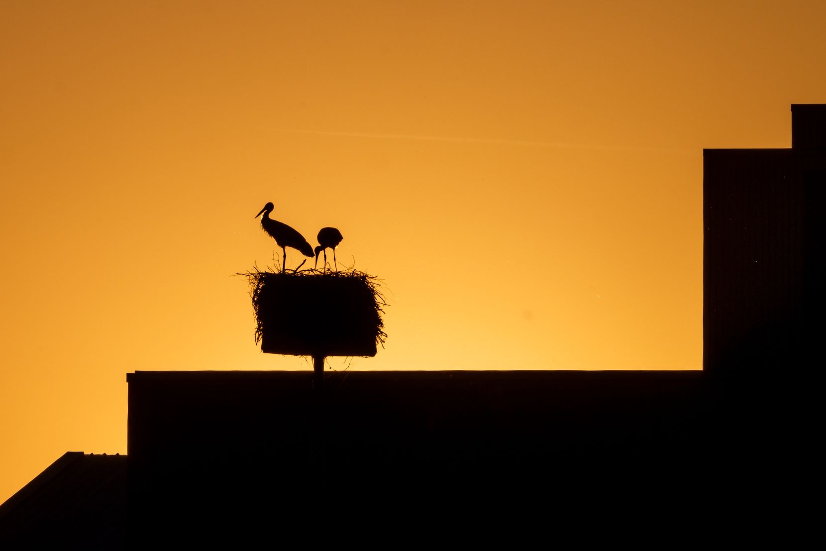 Frühlingsbilder aus dem Glattal