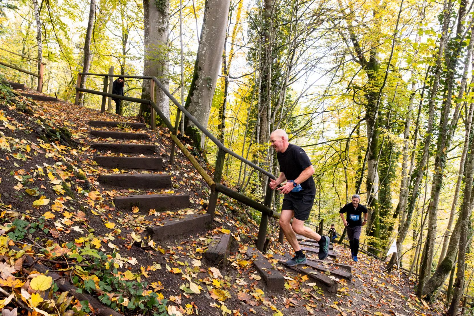 Läufer steigen eine hölzerne Treppe durch den Wald. Die Treppe ist der Knackpunkt des Laufs.