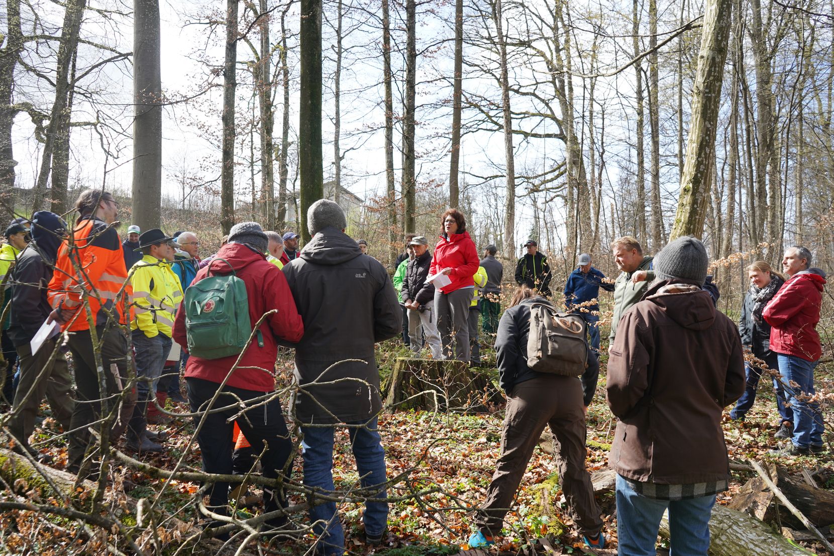 Brennholzgant der Holzkorporation Dübendorf am 25. März 2023. Cornelia Schwarz-Nigg spricht zu den Teilnehmenden im Wald.