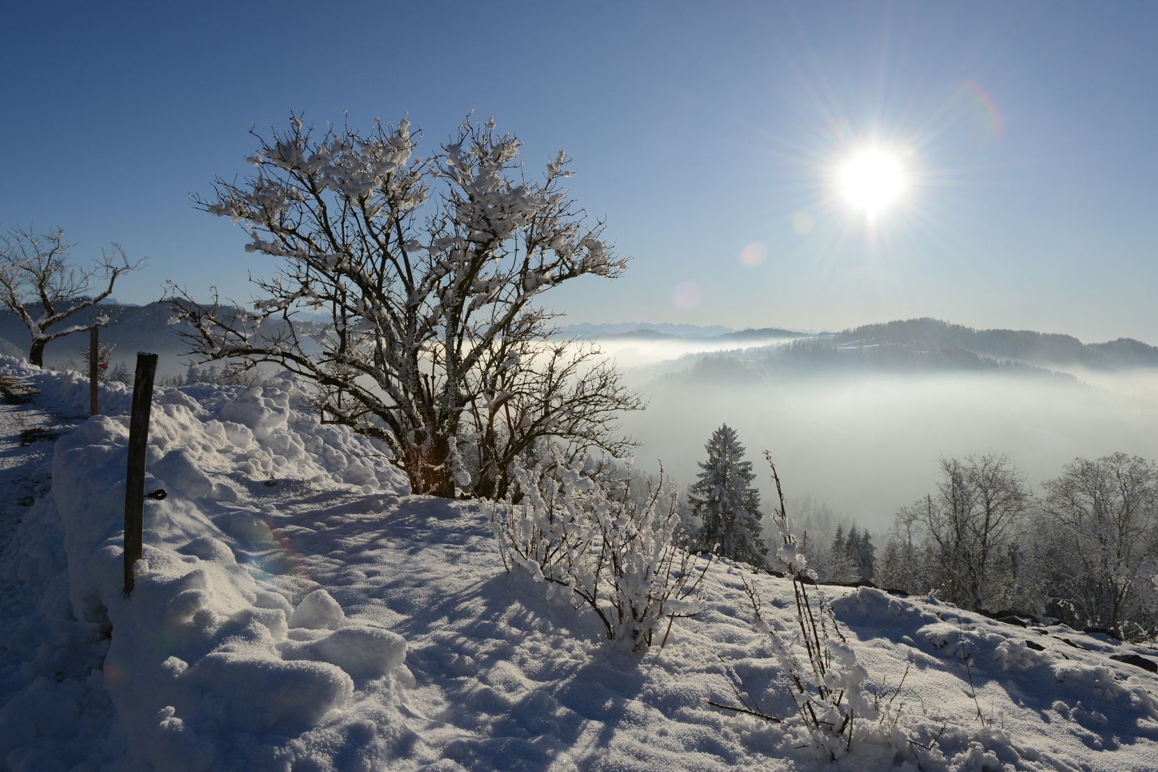 Winterimpressionen aus dem oberen Tösstal.