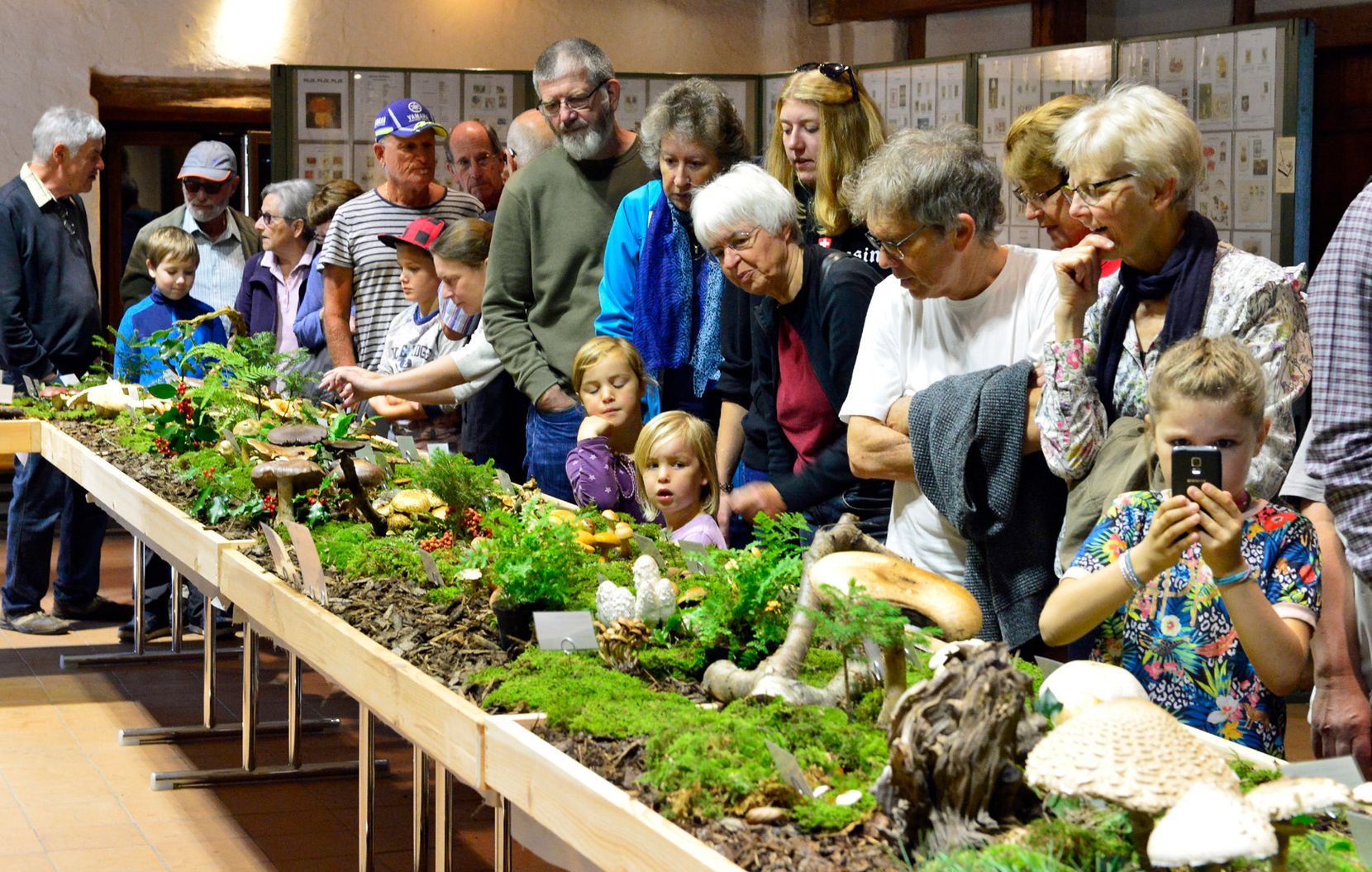 Fotos von der PIlzausstellung in Wald für Vereinsbeitrag.