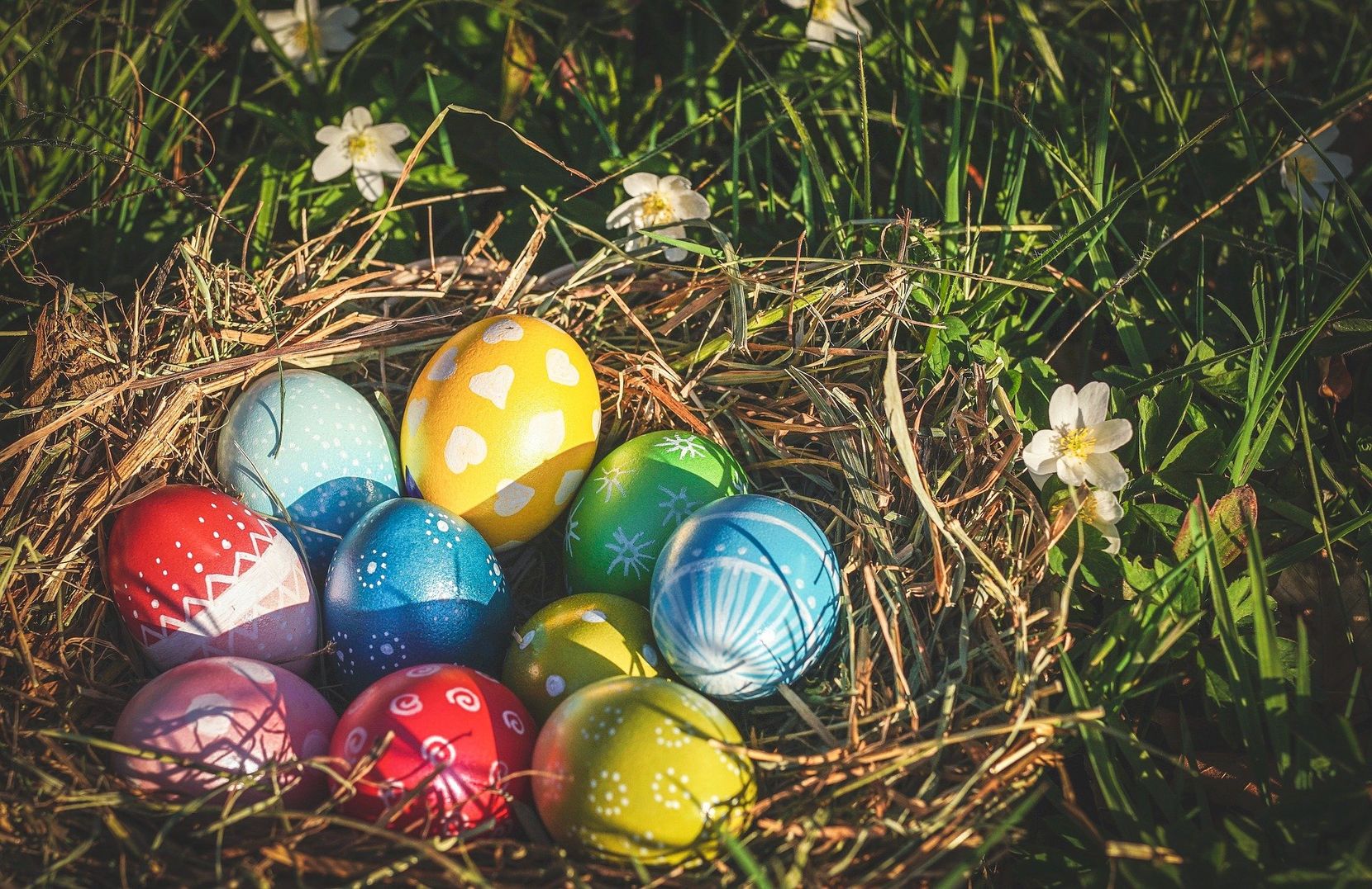 Man sieht ein Osternest in Garten mit farbigen Eier. 
