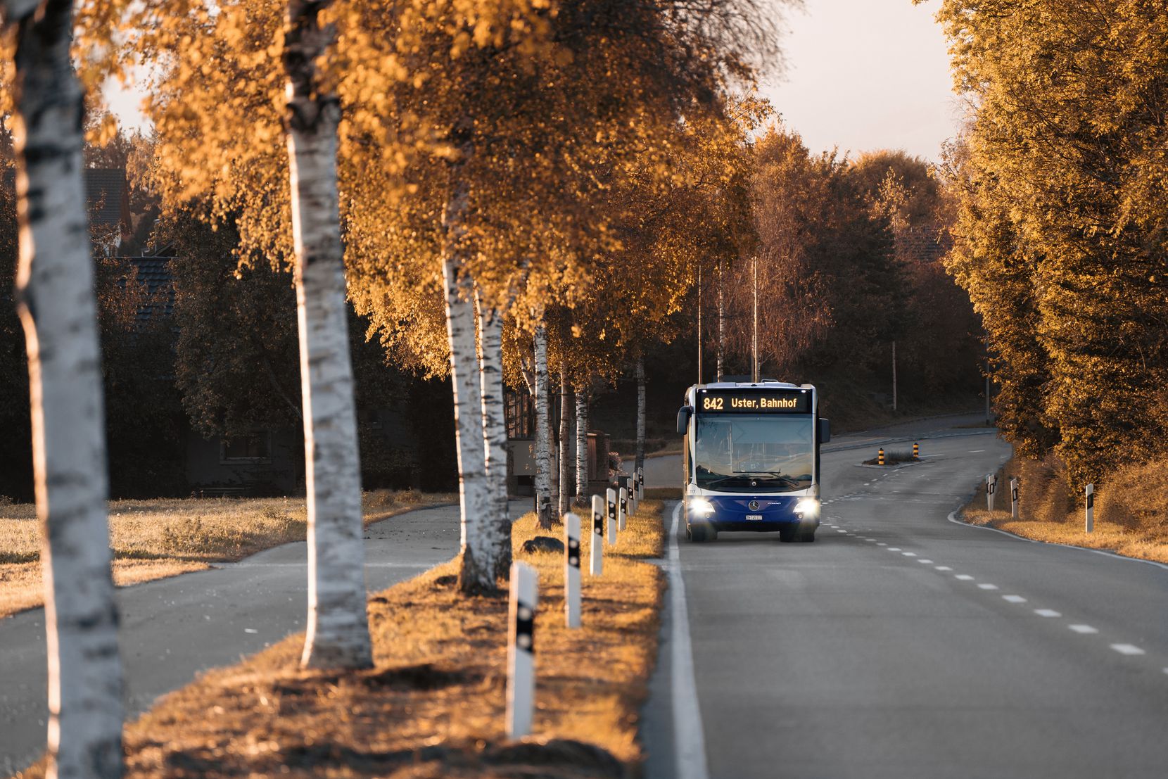 Ein Bus fährt im Herbst auf einer Landstrasse.