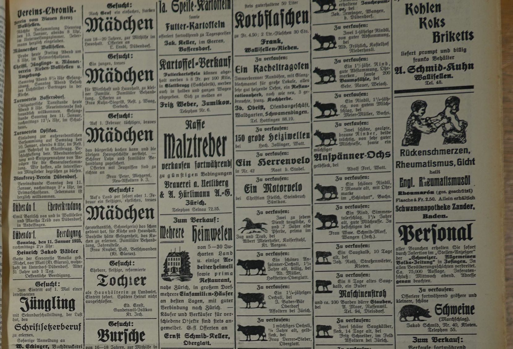 Ein Ausschnitt aus den «Dübendorfer Nachrichten» von 1925.