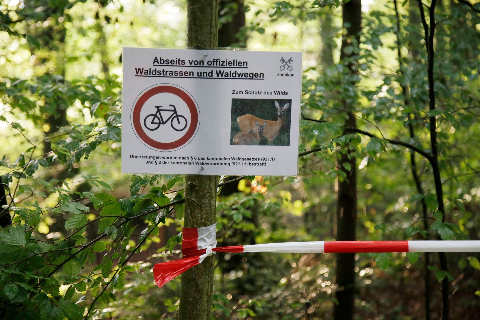 Ein Stück Wald ist abgesperrt.