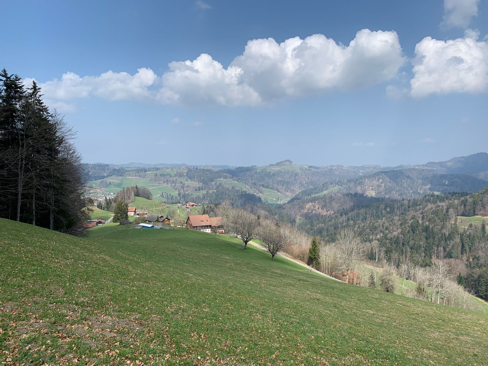 Blick auf Bauma ob Wolfensberg in der Nähe des Tännler; Landschaft, Tösstal am 2. April 2021