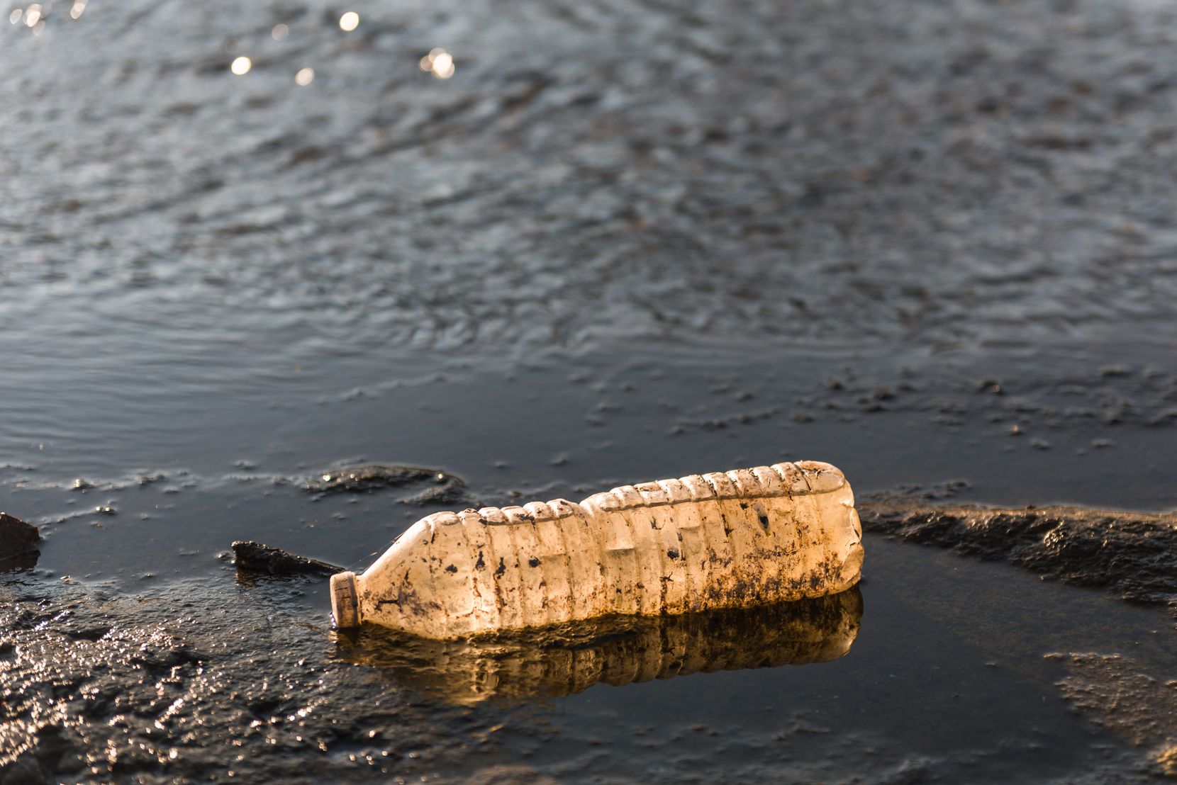 Auf dem Bild ist eine Plastik Wasserflasche am Strand zu sehen.