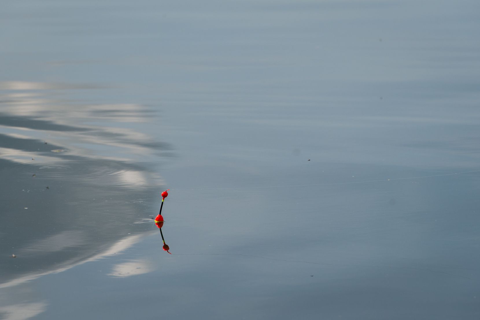 Eine Fischerrute im Greifensee.