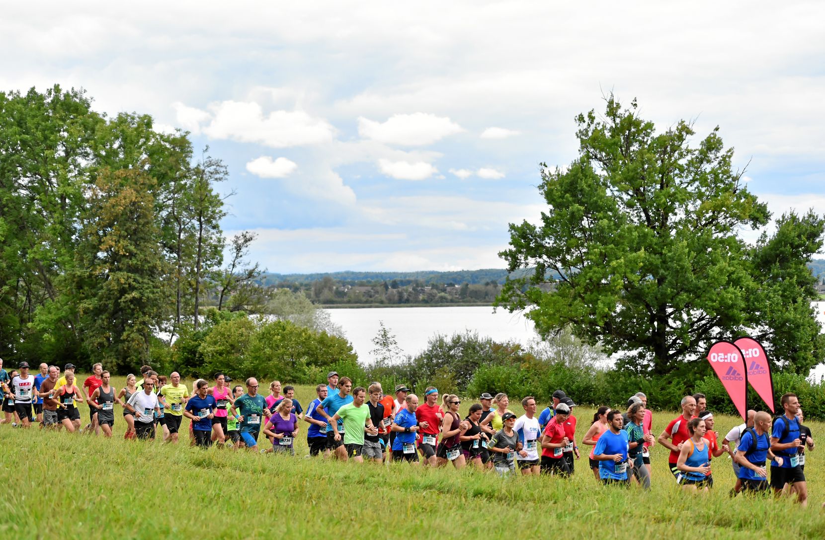 Das Foto zeigt Läuferinnen und Läufer am Greifenseelauf.   