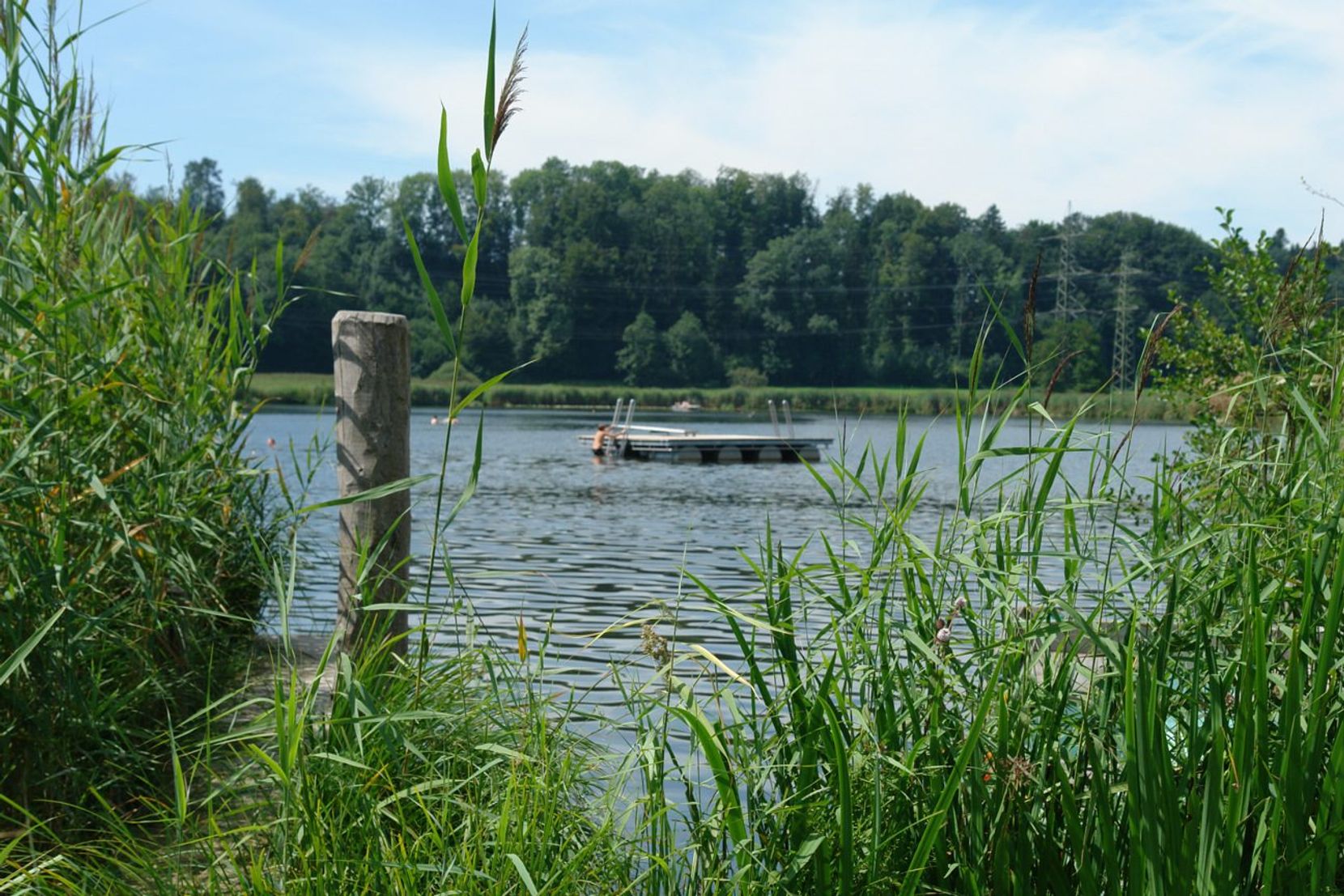 Der Egelsee im Sommer.