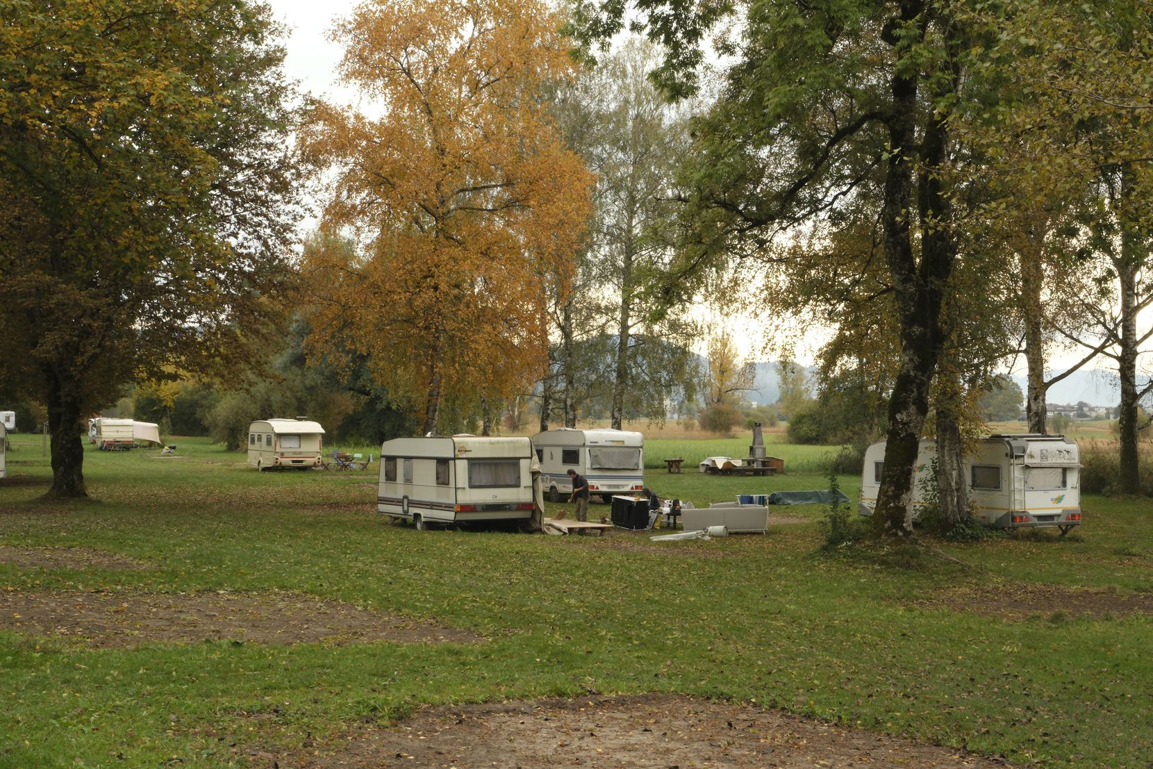 Auf dem Bild ist die Rasenfläche des Campingplatz Auslikon mit herbstlich verfärbten Bäumen zu sehen.
