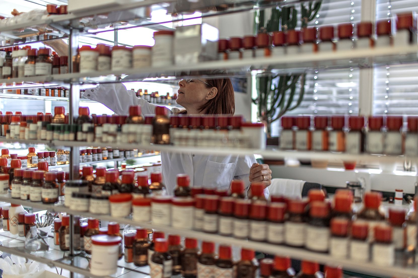 Laborregal mit einer Reihe von vielen braunen Flaschen mit rotem Verschluss.