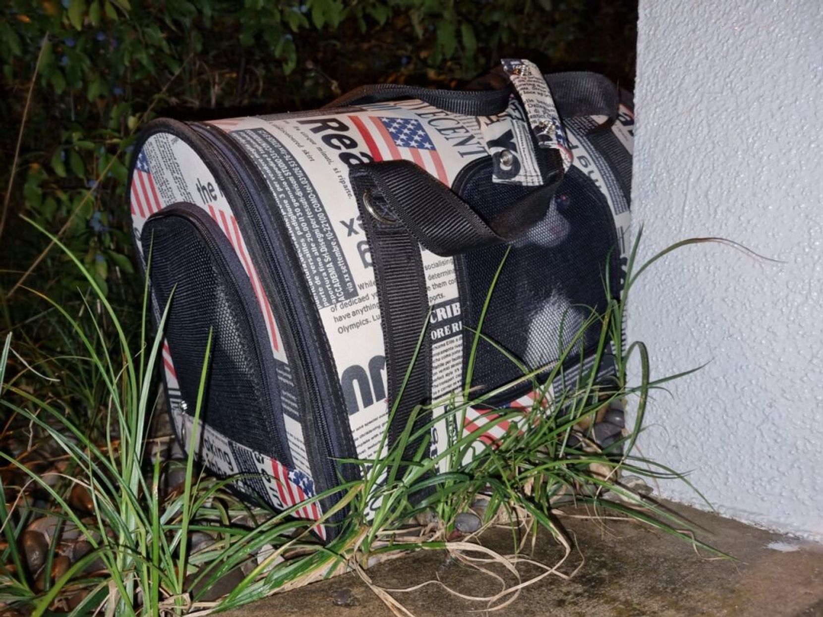 In dieser auffälligen Tasche wurden am Dienstag in Winterthur Töss zwei Katzen ausgesetzt.