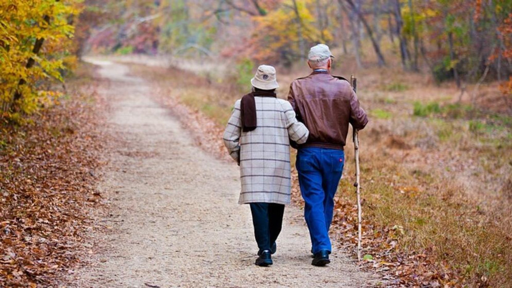 Rentnerpaar spaziert im Wald