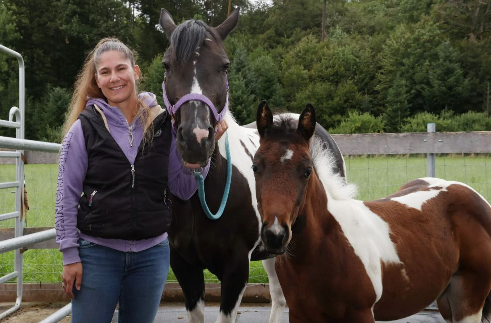 Männedorf: Nadja Brun muss für ihre Little Paint Ranch, einen Pferdehof mit weiteren Tieren, eine neue Bleibe suchen.