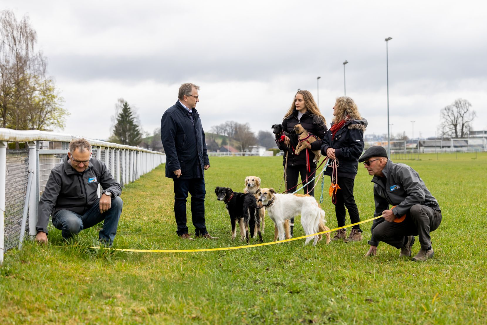Statt Pferden rennen am Osterwochenende 2022 Windhunde auf der Rennbahn Barmatt in Fehraltorf.