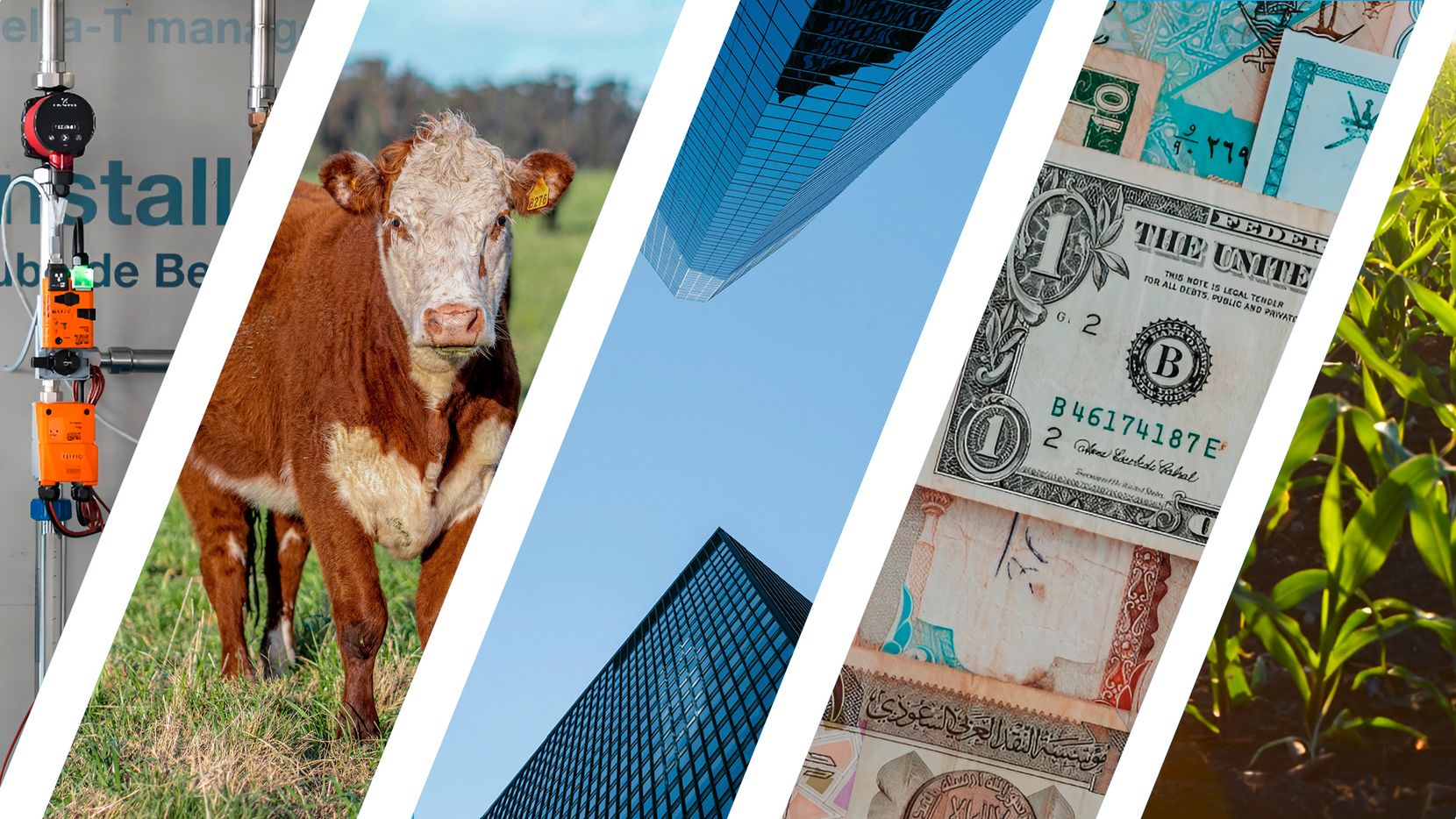 Eine Bildkombo von verschiedenen wirtschaftlichen Symbolbildern. Rohre, eine Kuh, Hochhäuser, Banknoten und ein Maisfeld.