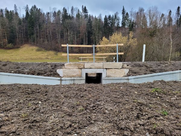 «Es ist ein Amphibienlaichgebiet von nationaler Bedeutung» Züriost