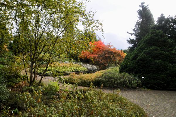 Botanischer Garten Grüningen geizt auch im Herbst nicht mit Reizen